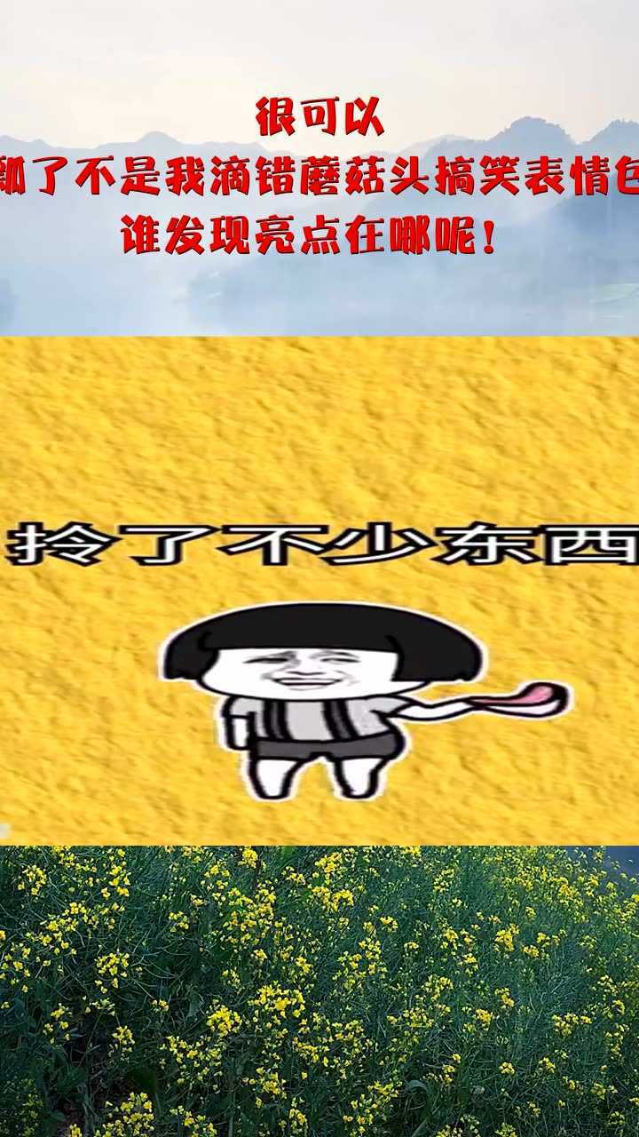 很可以,哈哈哈嘴瓢了不是我滴错蘑菇头搞笑表情包搞笑爆笑,谁发现亮点