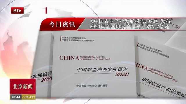 《中国农业产业发展报告2020》发布, 今年全国粮产量预计达6.7亿吨