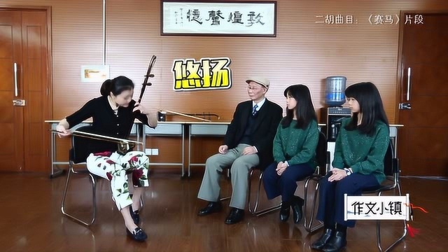 作文小镇 20180401 民族乐器厂