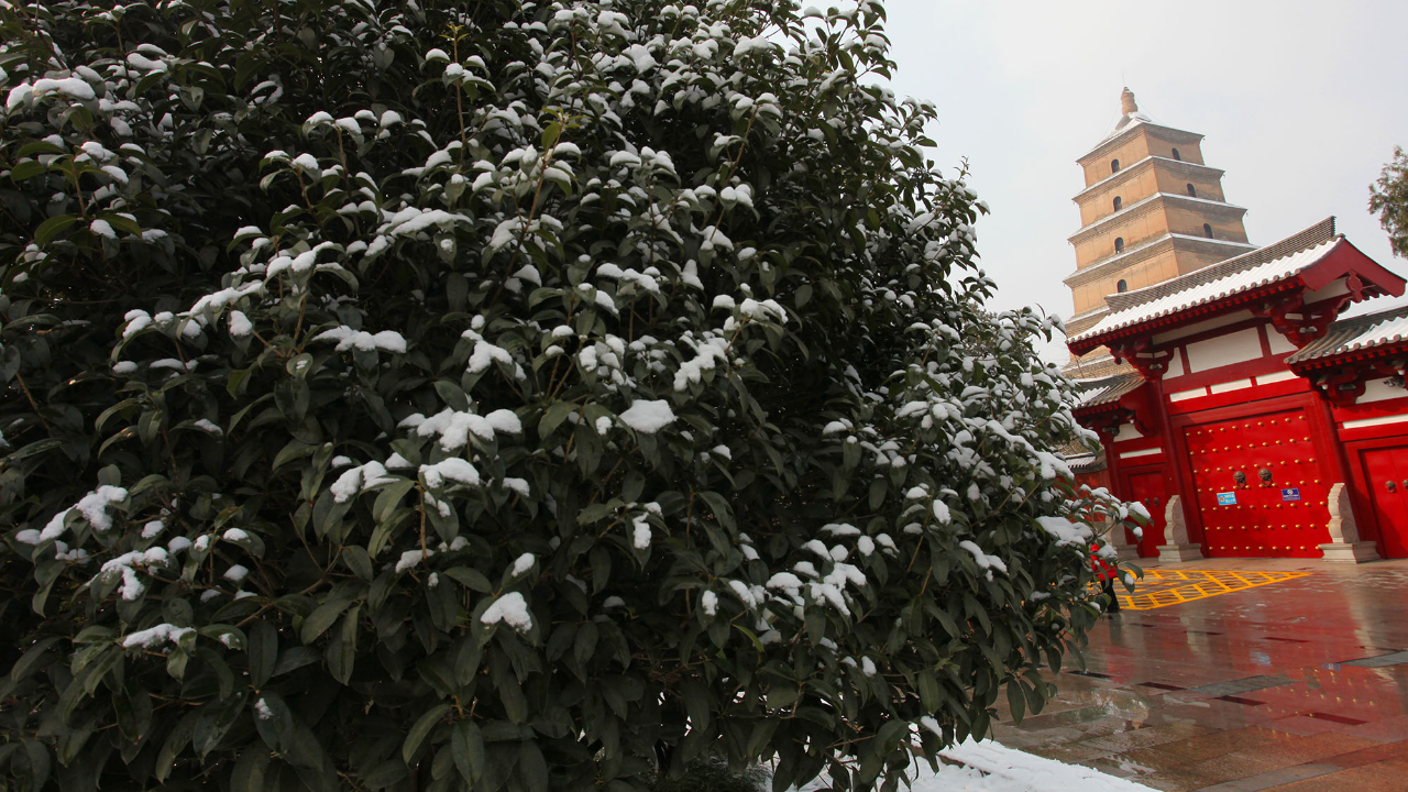 雪后大雁塔美景:千年古塔与雪同框,古朴唯美,梦回长安