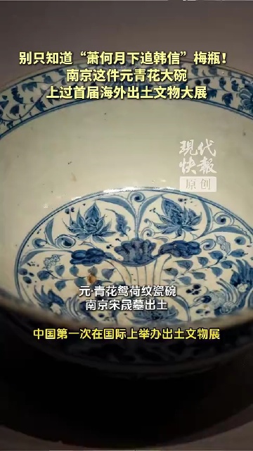别只知道“萧何月下追韩信”梅瓶！南京这件元青花大碗上过首届海外出土