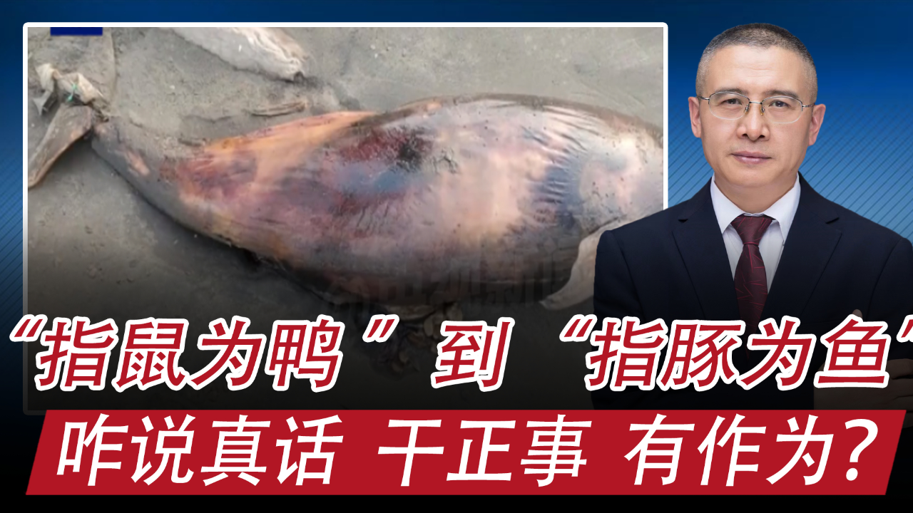 从"指鼠为鸭"到"指豚为鱼",咋说真话,干正事,有作为?