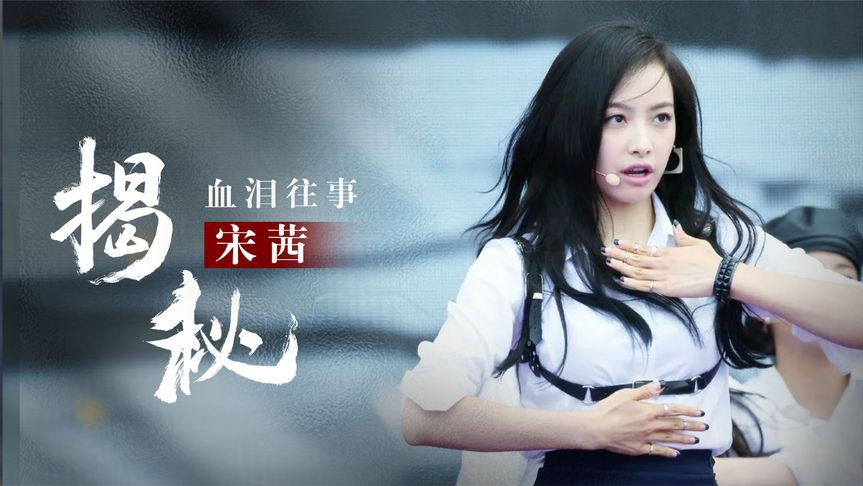 "拼命三娘"宋茜,从打工人到女富婆,一个手机壳价值一万八?