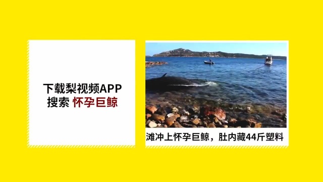 向英雄致敬!四川交警护送三名外省凉山扑火烈士返乡