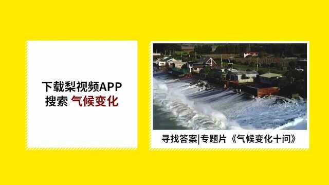 四川巴中一商场开业促销发生拥挤事件,16人受伤,被责令停业