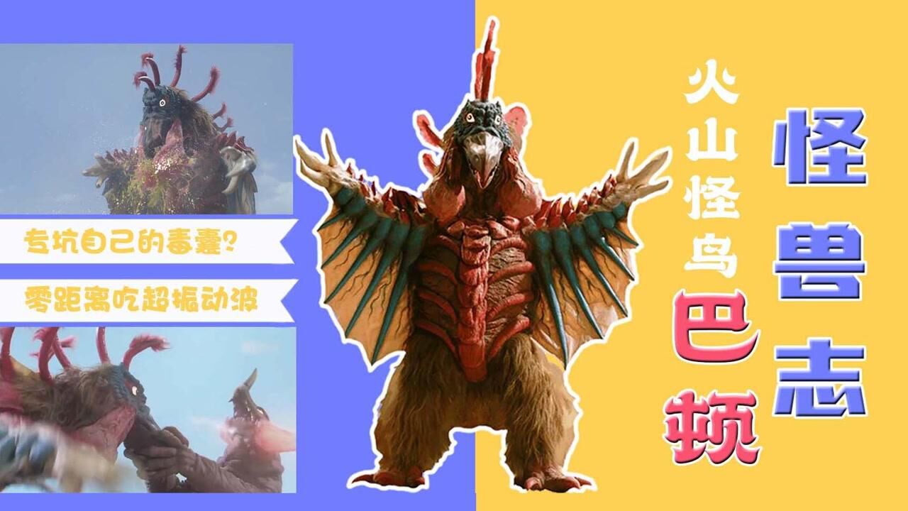 怪兽志火山怪鸟巴顿开局干掉两个奥特曼却被一根手指打败