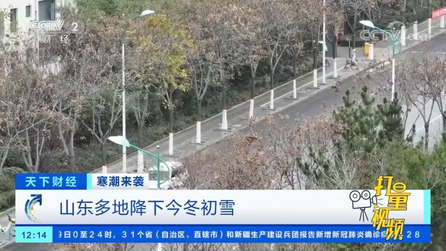 山东多地降下今年初雪