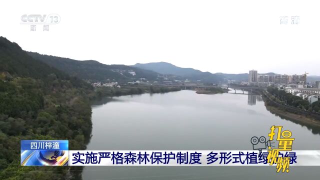 四川梓潼:实施严格森林保护制度 多形式植绿护绿