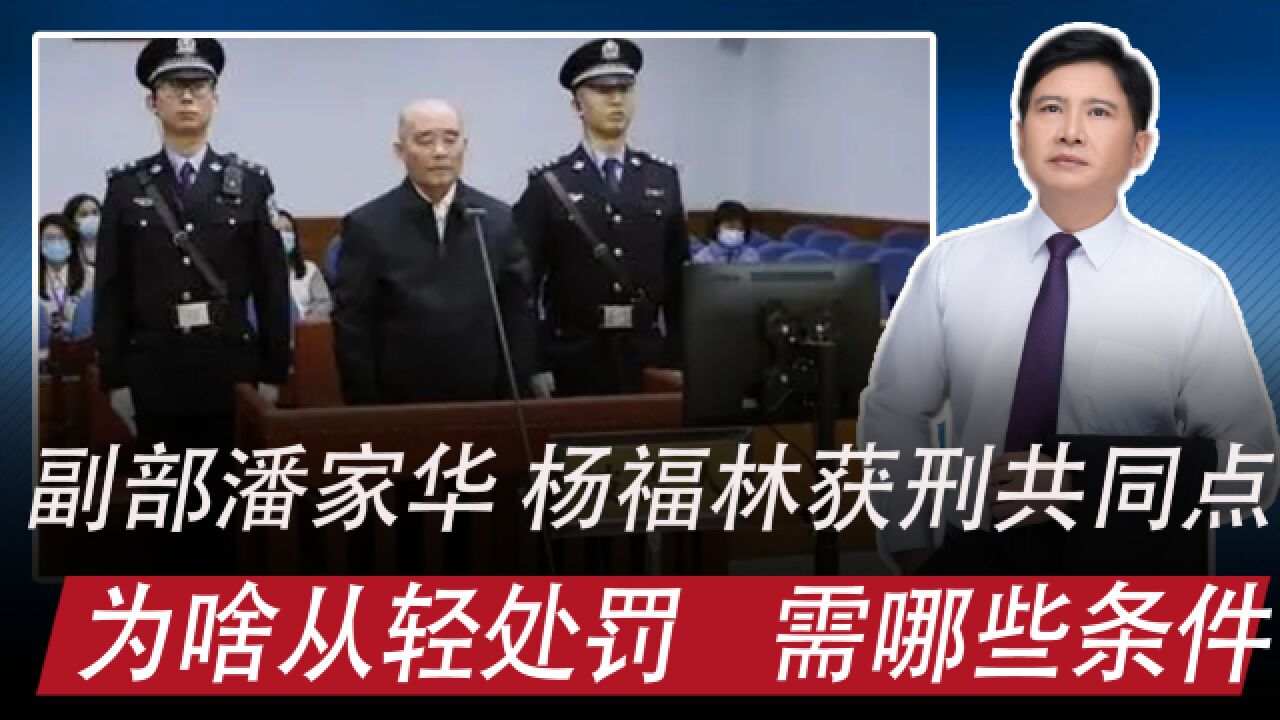 弓评 |副部杨福林获刑13年,和潘家华都从轻处罚,啥原因