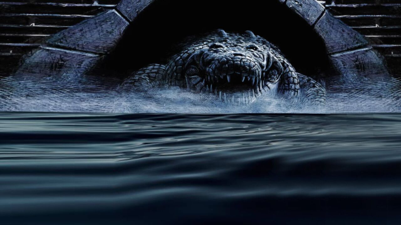 美国佛州下水道现鳄鱼,都市传说如何变现实?这些问题引人鳄冲突