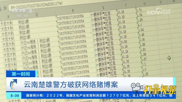 云南楚雄警方破获一起网络赌博案,涉及赌资1100余万元