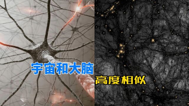 研究发现:宇宙与人脑高度相似,我们可能只是宇宙的一场梦