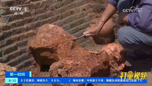 修路牵出盗墓线索,浙江警方破获一起系列盗掘倒卖文物案