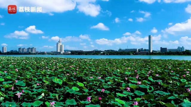 治愈系“天真蓝”!南京玄武湖碧波荡漾水天一色