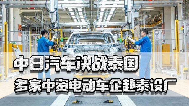 中日汽车决战泰国,多家中资电动车企赴泰设厂,日本车会被赶走吗