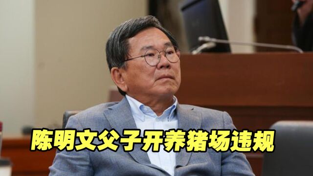 陈明文父子开养猪场违规,民进党高官为何纷纷出面袒护?