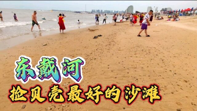 在辽宁葫芦岛东戴河玩海,银泰沙滩不仅海水干净,捡贝壳也很容易