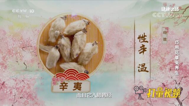 辛夷性辛、温,入肺胃经,具有发散风寒、通鼻窍的功效