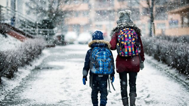 雪花飘飘,心境不凉:小雪时节,“护心”指南