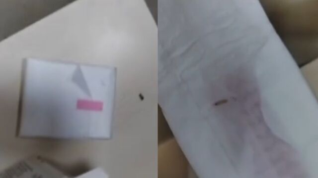 卫生巾买回不到1个月,女生拆开两盒都有活虫,厂家:从未遇到过