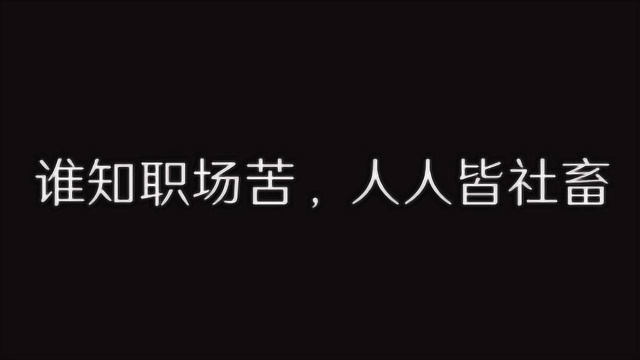 社畜的日常表现,平凡沙雕日常,人间真实