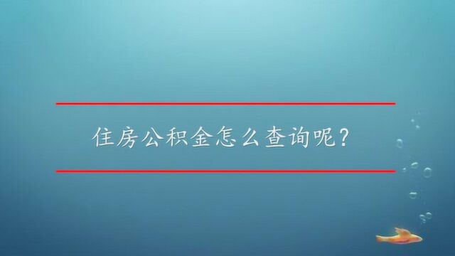 住房公积金怎么查询呢?