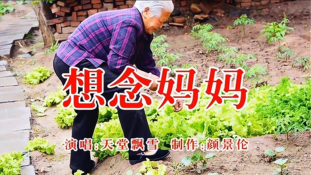 天堂飘雪想念妈妈怀念妈妈的歌热门歌曲