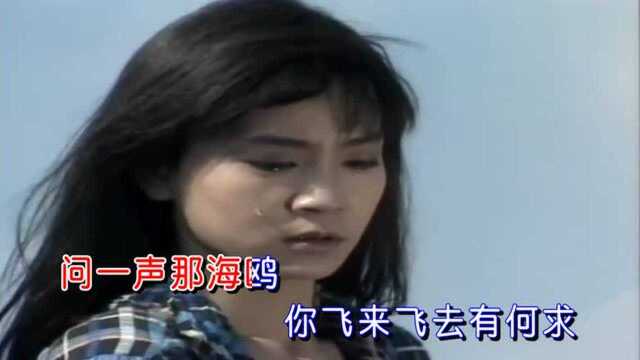 高胜美《彩云伴海鸥》,琼瑶剧《海鸥飞处彩云飞》片尾曲