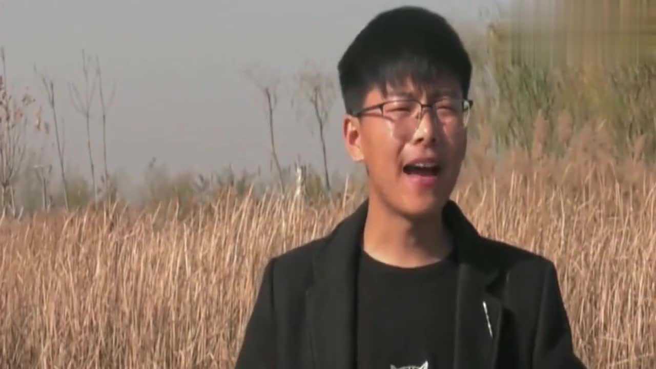 河南艺人王金龙民间说唱莲花落民工难这段子真是太经典了