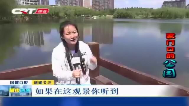 家门口的公园——天嘉公园:小桥流水意境美,高低错落尽芳菲