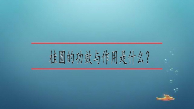 桂圆的功效与作用是什么?