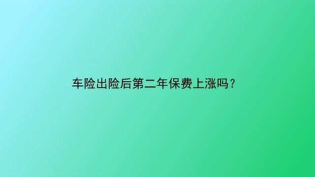 车险出险后第二年保费上涨吗?