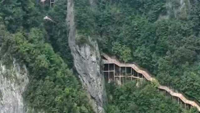 陕西山阳天竺山一柱擎天,堪称秦岭一绝,真是大自然的鬼斧神工!