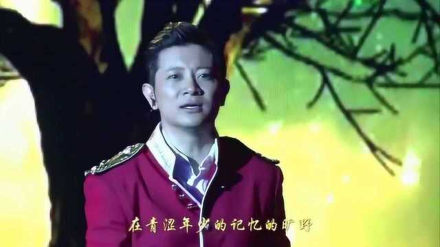 罗中旭《锦瑟流年》 罗中旭“星光灿烂”20年全国巡回演唱会