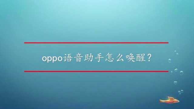 oppo语音助手怎么唤醒?