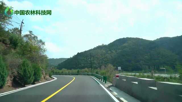 国道309从甘肃进入陕西延安,沿途美景弥补了秦直道受阻的遗憾