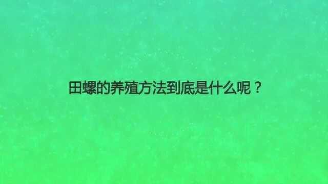 田螺的养殖方法到底是什么呢?