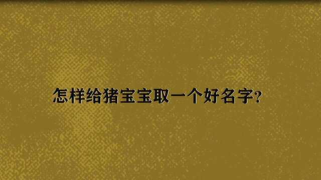 怎样给猪宝宝取一个好名字?