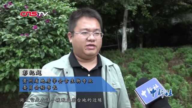 比恐龙还早的“贵州龙”长啥样?探秘贵州中三叠纪古生物群