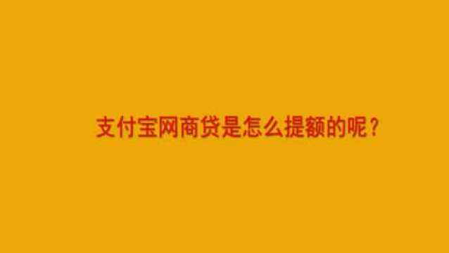 支付宝网商贷是怎么提额的呢?