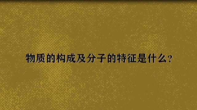 物质的构成及分子的特征是什么?