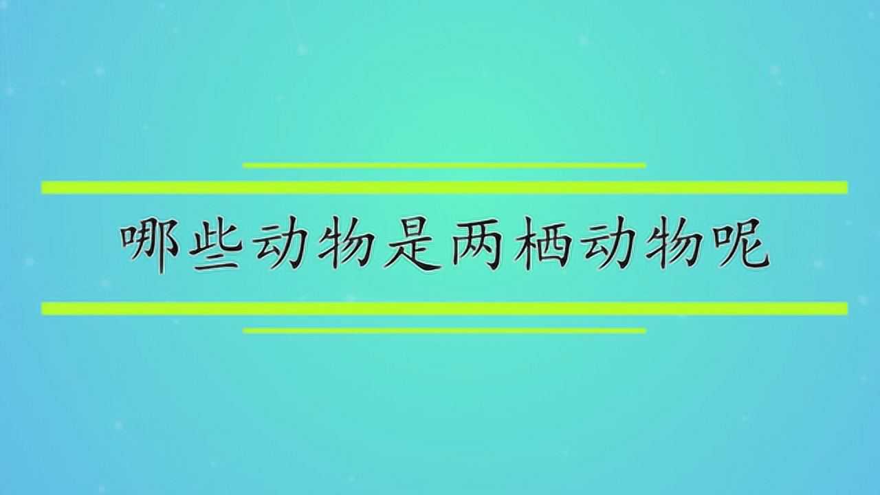 哪些动物是两栖动物呢腾讯视频