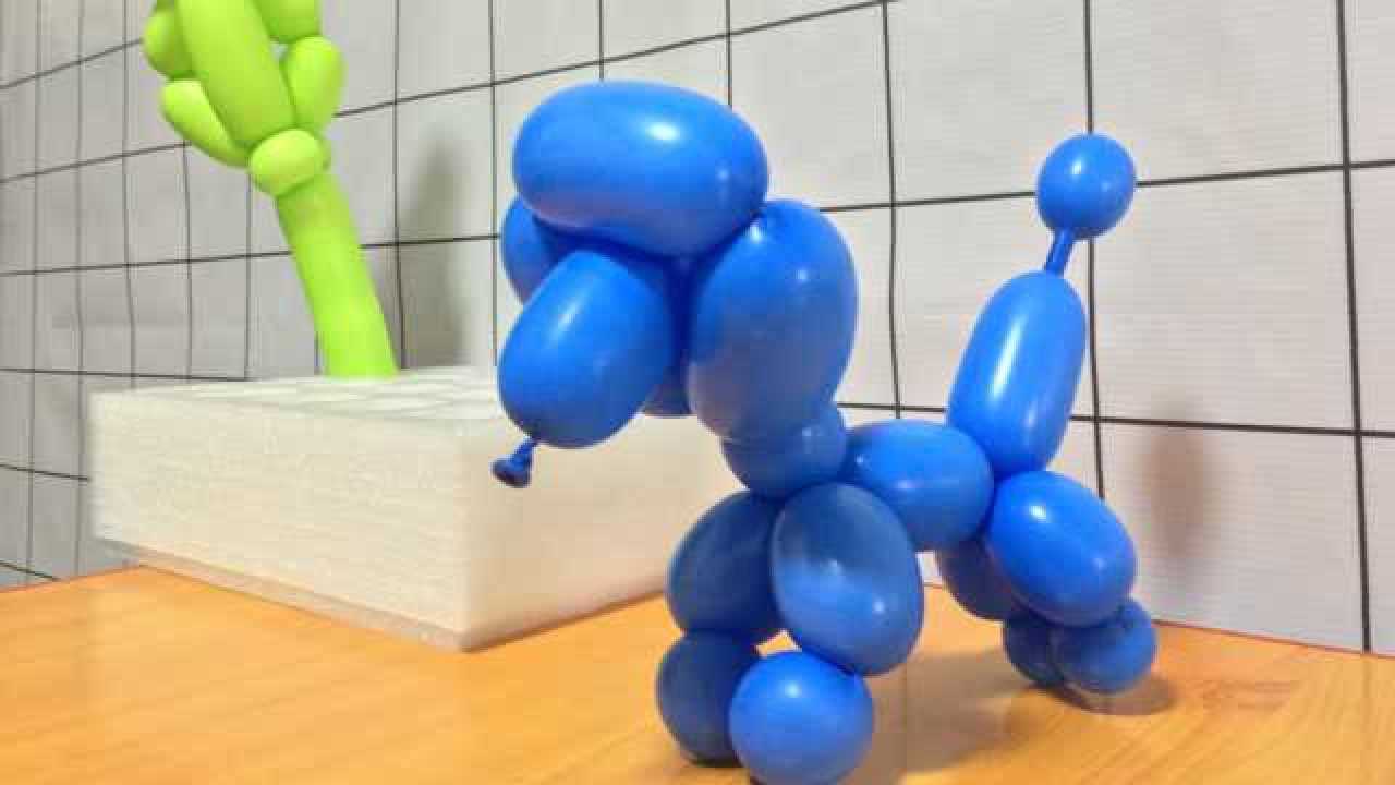气球造型教程:怎么用长条魔术气球扭小狗,简易气球教学魔术气球教学