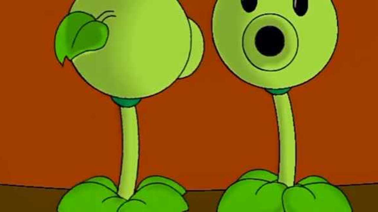 小豌豆动画片图片