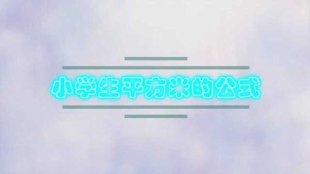 小学生平方米的公式