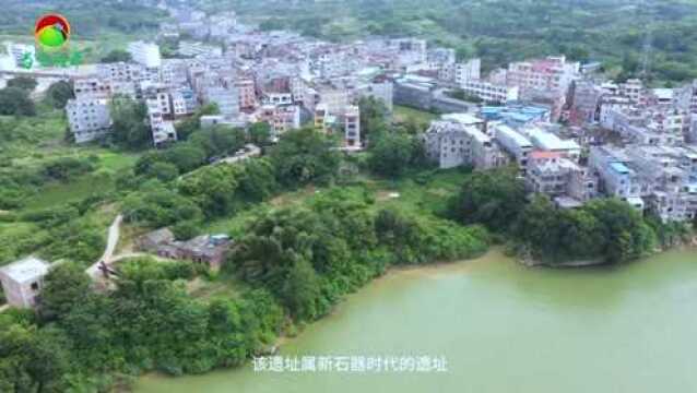 当今桂平航拍桂平大湾牛骨坑贝丘遗址为桂平市文物保护单位视频