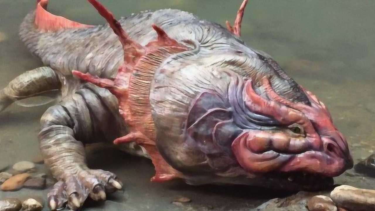 史上最强"娃娃鱼",称霸地球两千万年,霸王龙天天吃我好委屈