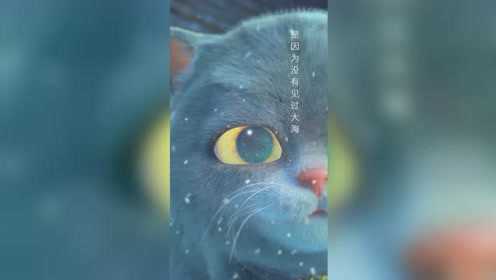 斑布猫 156集