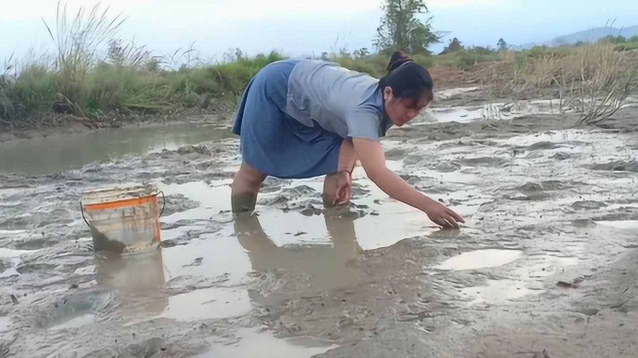 越南女人捞鱼图片