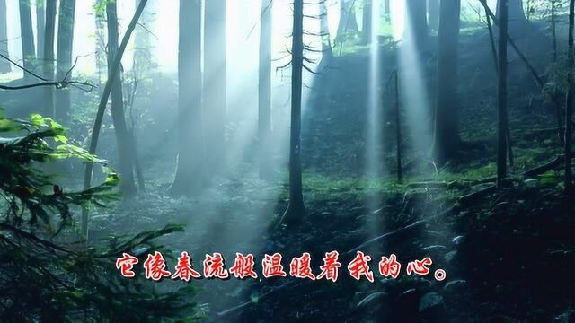 《幻想与梦》顾城 热闹过后只剩下茫然的露滴